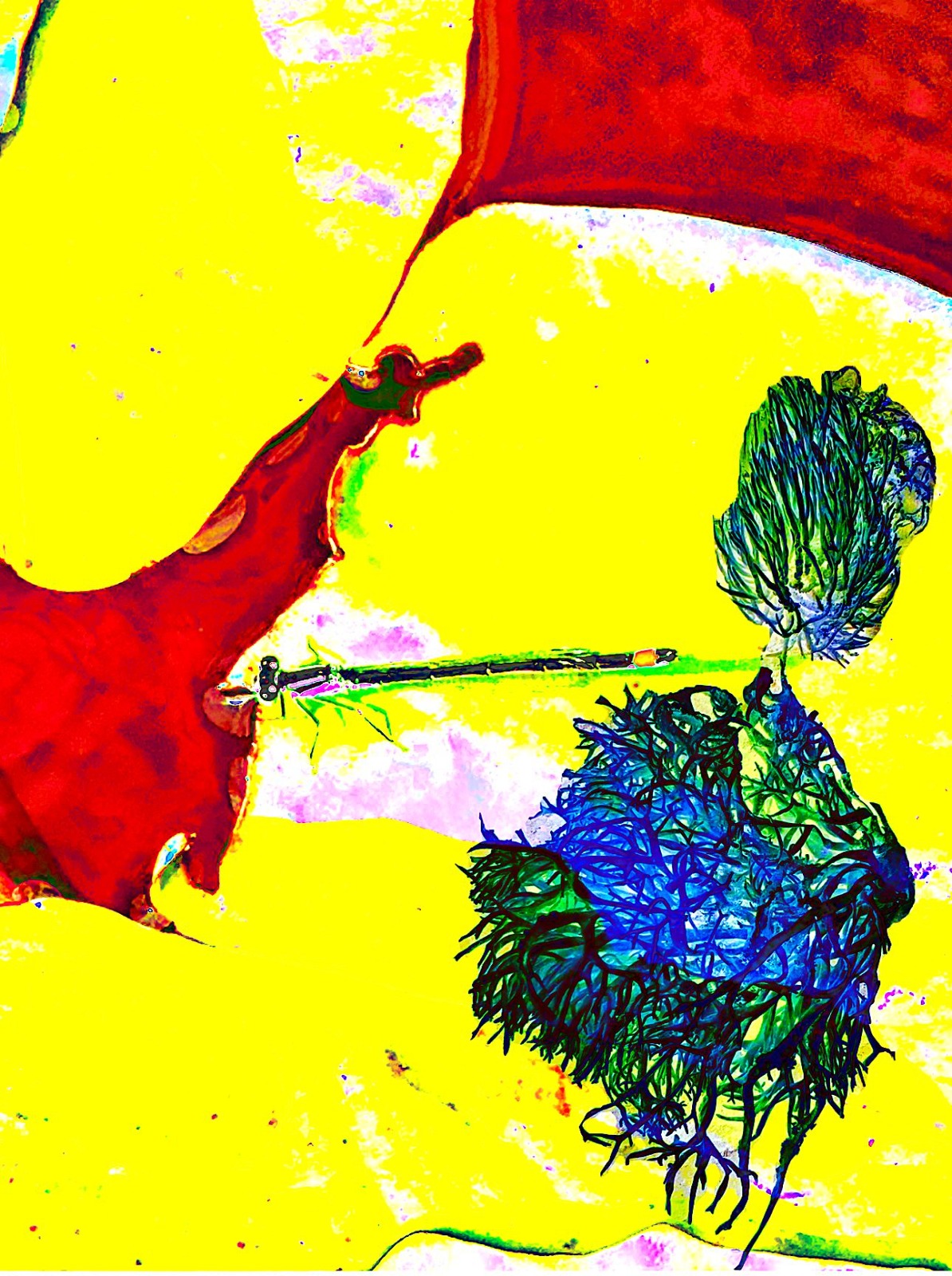 Loris Ciampi: La libellula di Matisse
